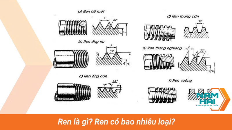 Ren là gì Ren có bao nhiêu loại