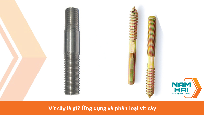 vit-cay-la-gi-ung-dung-va-phan-loai-vit-cay