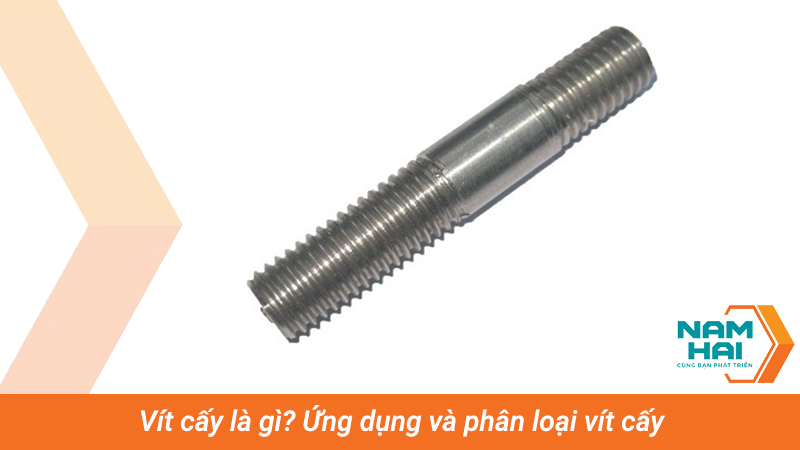 vít cấy là gì