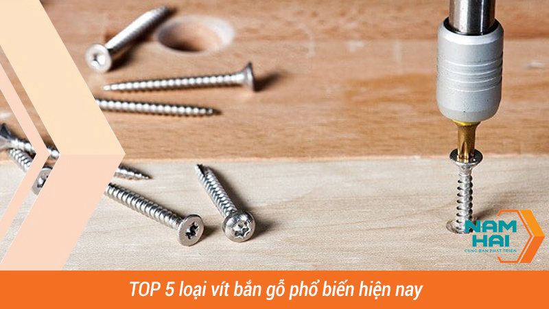 TOP 5 loại vít bắn gỗ phổ biến hiện nay