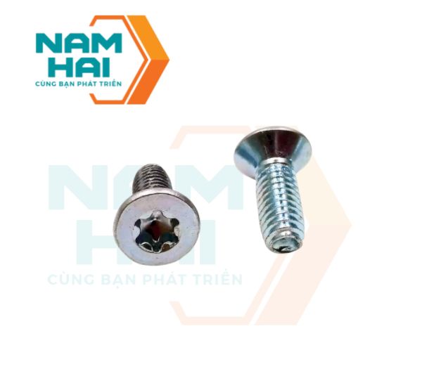 vít tạo ren hoa thị