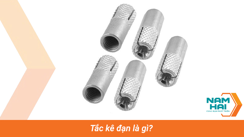 Tắc kê đạn là gì